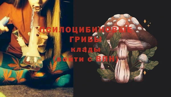 герыч Алексин